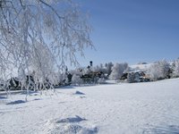 Ortsansicht Winter Mittelberg