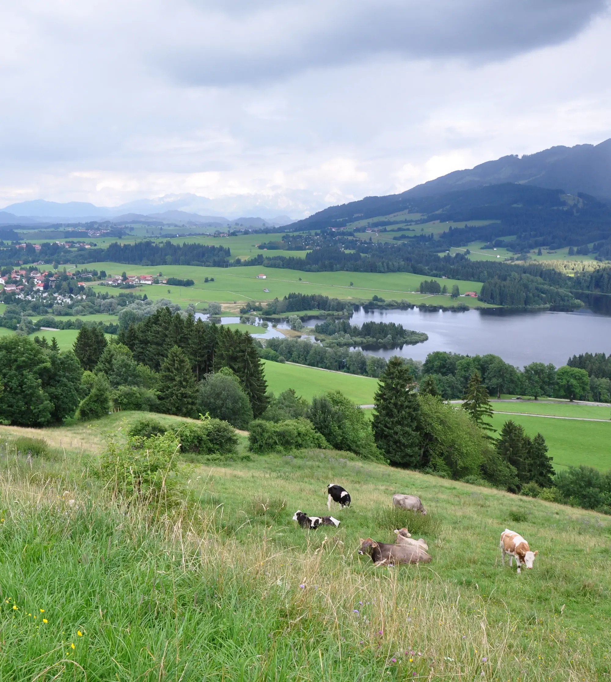 Haslach am Grüntensee Panorama Oy-Mittelberg