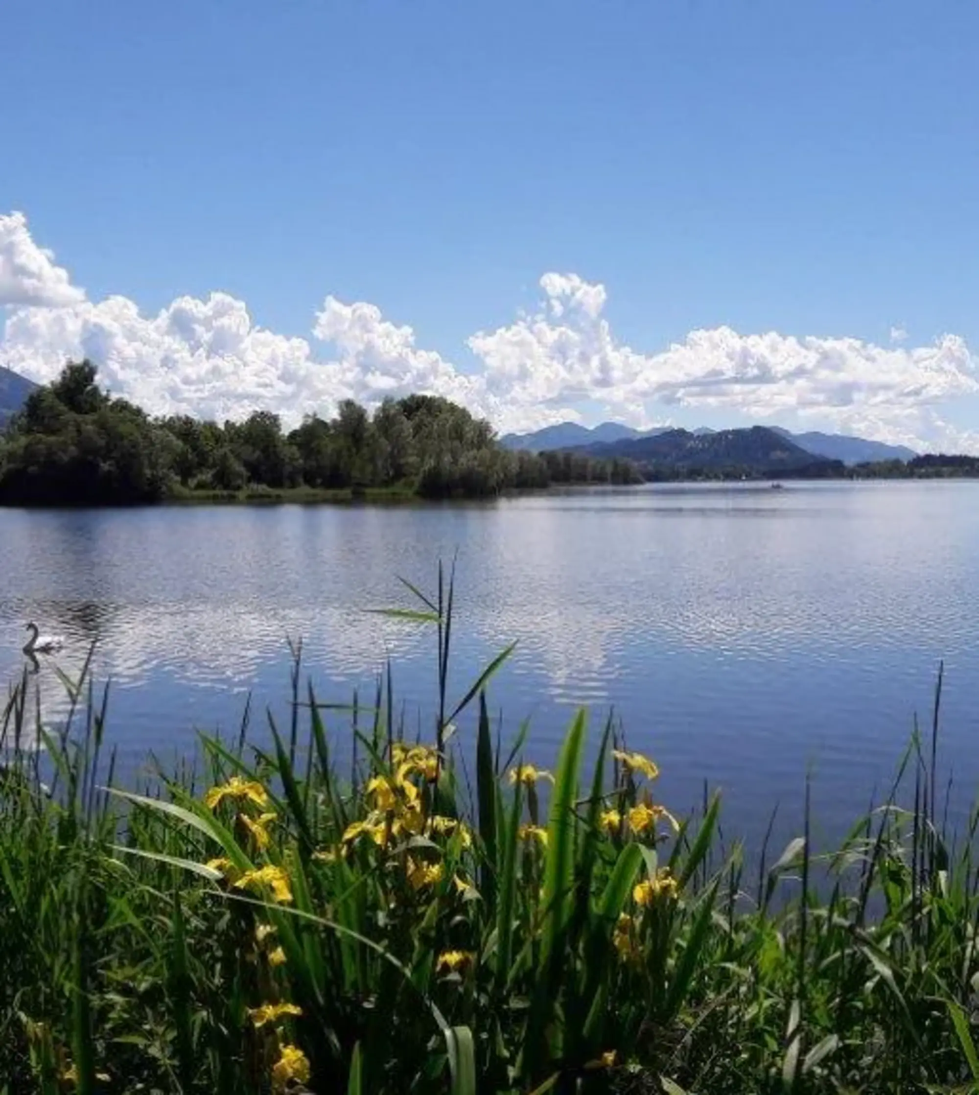 Badeplatz am Rottachsee in Bisseroy in Oy-Mittelberg